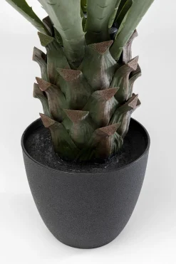 KARE Design Tekokasvit*Agave Tekokasvi 85cm