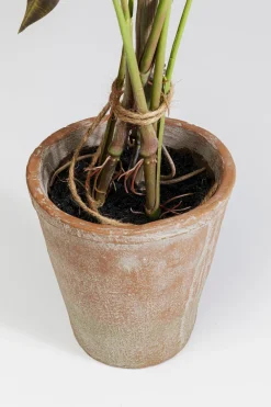 KARE Design Tekokasvit*Alocasia Tekokasvi 80cm