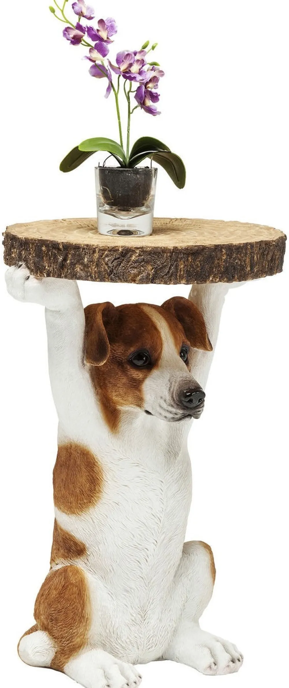 KARE Design Sohvapöydät|Olohuone*Animal Mr. Jack Koira Sivupöytä Ø33cm