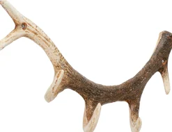 KARE Design Seinänaulakot*Antler Nature Sarvet Seinänaulakko 35cm