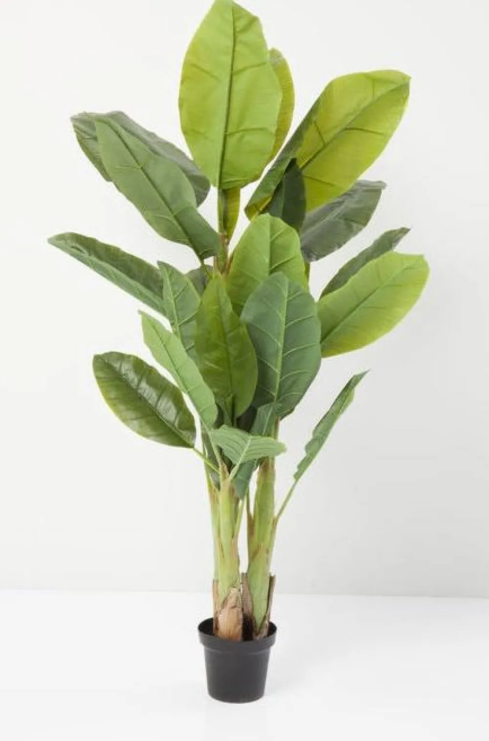 KARE Design Tekokasvit*Banana Tree Tekokasvi 180cm