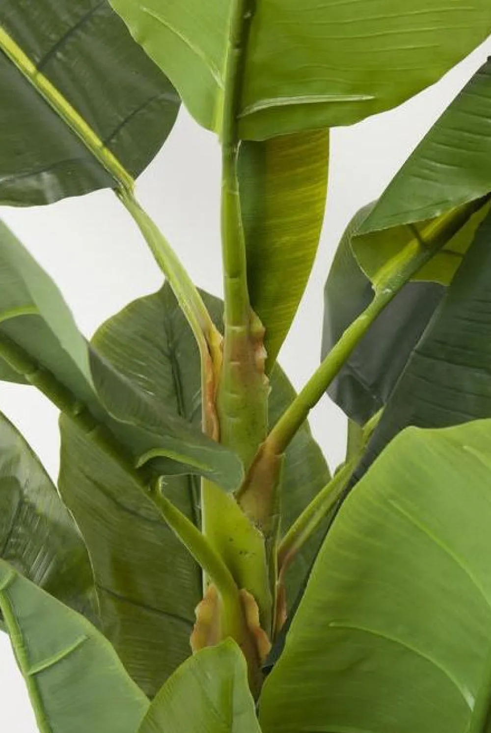 KARE Design Tekokasvit*Banana Tree Tekokasvi 180cm