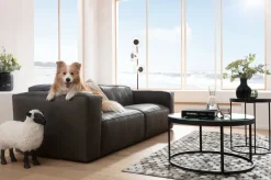 KARE Design Jalalliset Koriste-Esineet*Bathilde Pässi Valkoinen 48cm