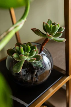 KARE Design Olohuone|Hyllyt*Cesaro Hylly 90x170cm