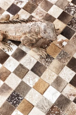 KARE Design Matot*Cosmo Grey Fur Lampaantalja Matto 170x240cm