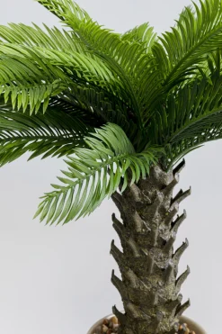 KARE Design Tekokasvit*Cycas Tekokasvi 70cm