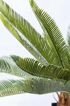 KARE Design Tekokasvit*Cycas Tree Tekokasvi 78cm