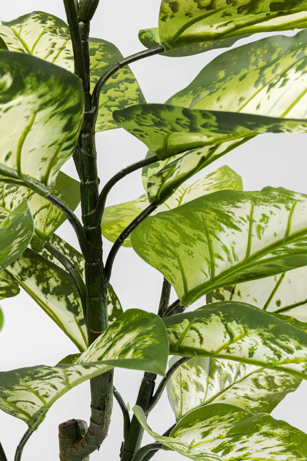 KARE Design Tekokasvit*Dieffenbachie Kirjovehka Tekokasvi 100cm