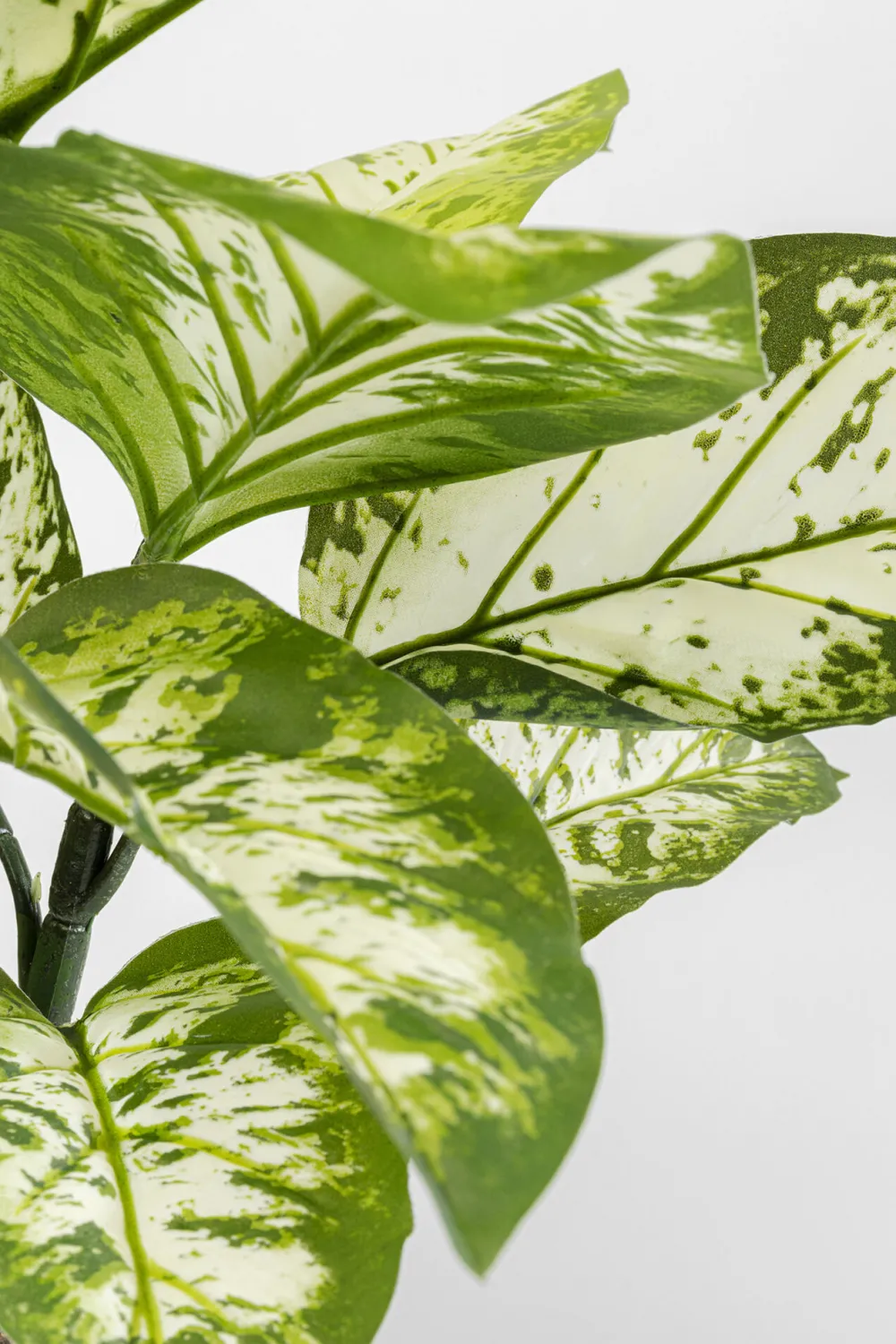 KARE Design Tekokasvit*Dieffenbachie Kirjovehka Tekokasvi 100cm