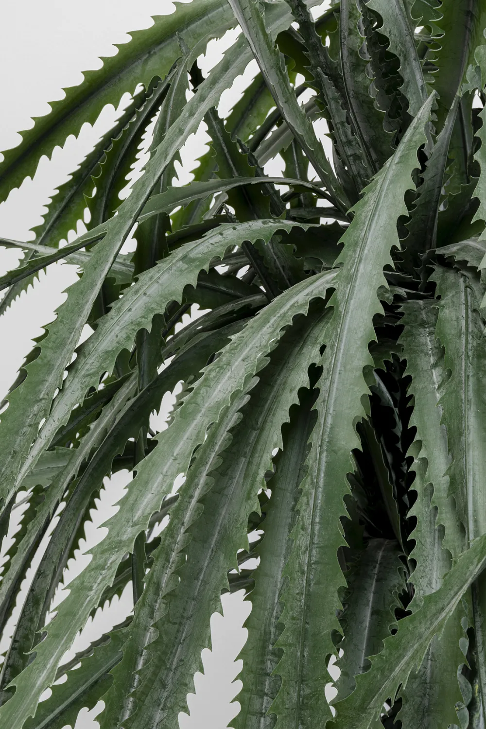 KARE Design Tekokasvit*Dragon Tree Tekokasvi 155cm