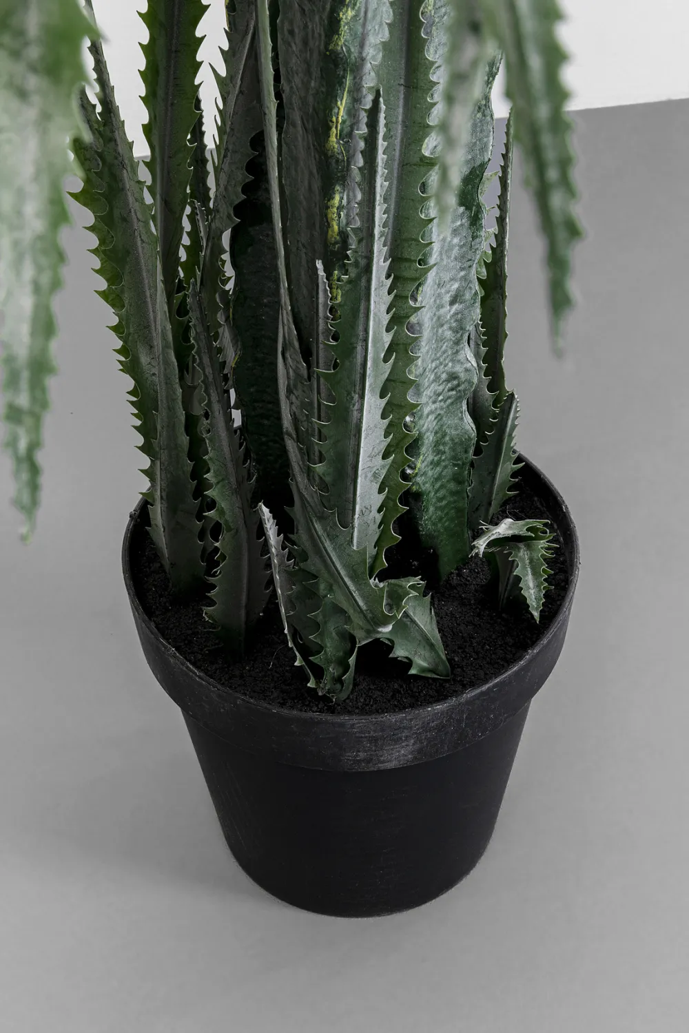 KARE Design Tekokasvit*Dragon Tree Tekokasvi 155cm