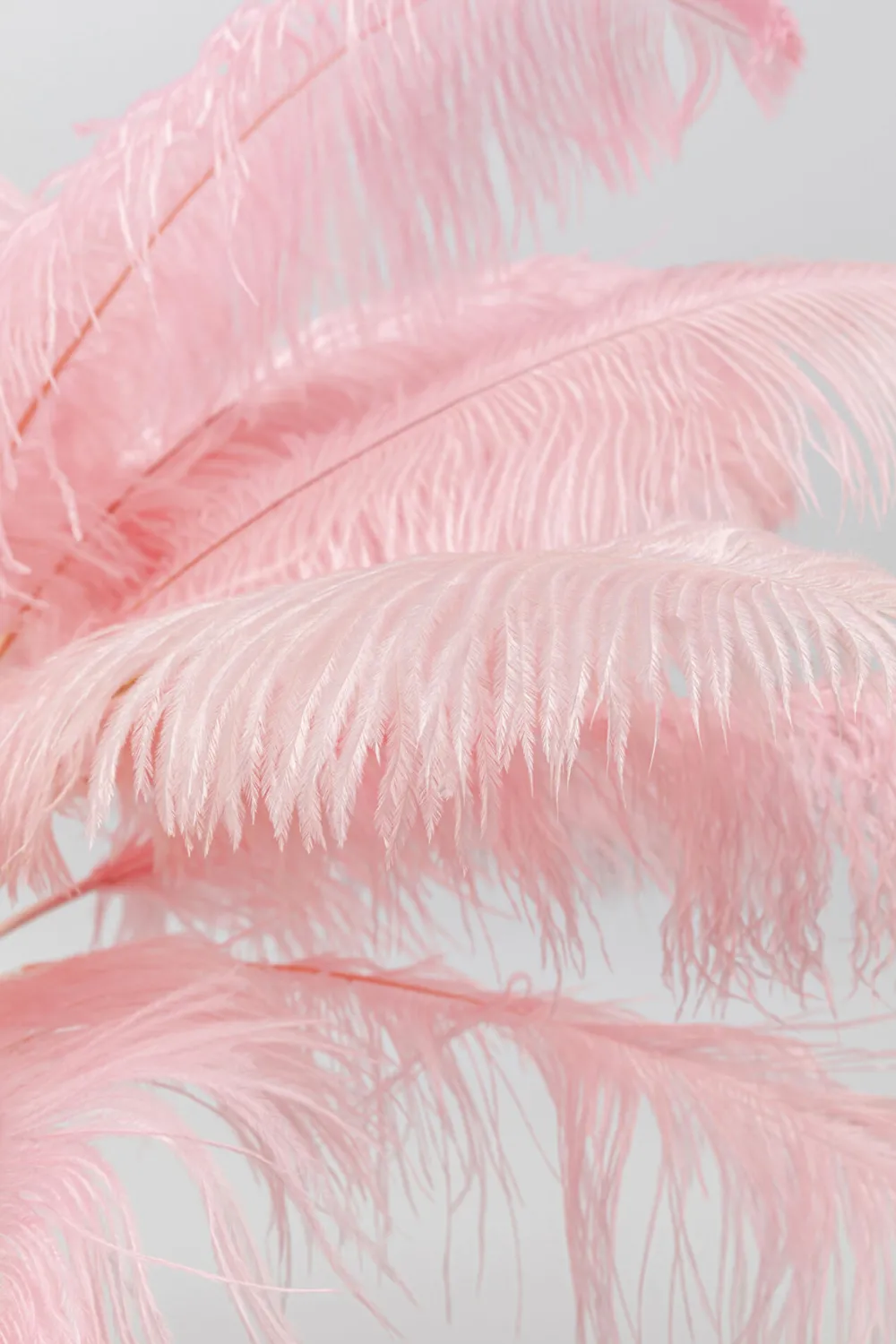 KARE Design Pöytävalaisimet*Feather Palm Pöytävalaisin Pinkki 60cm