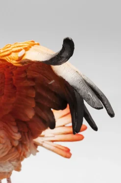 KARE Design Koriste-Esineet*Flamingo Road Fly Korisre-esine 66cm