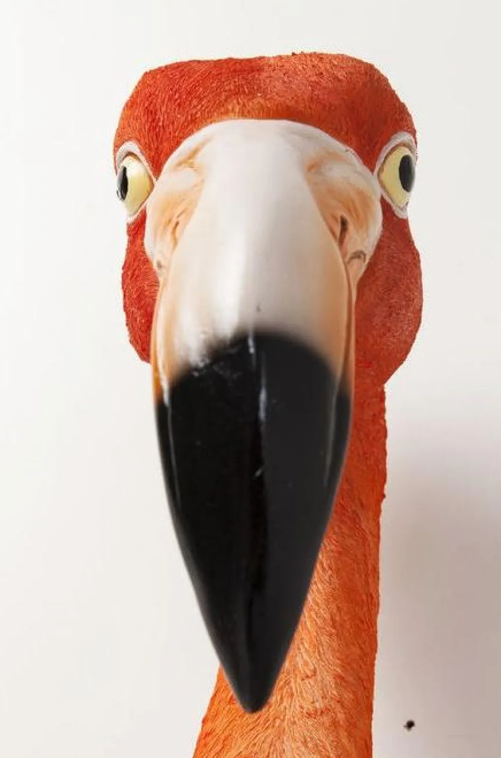 KARE Design Seinäkoristeet*Flamingo Road Seinäkoriste 72cm