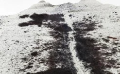 KARE Design Matot*Hide Lehmännahka Matto, Musta-valkoinen 219x242cm