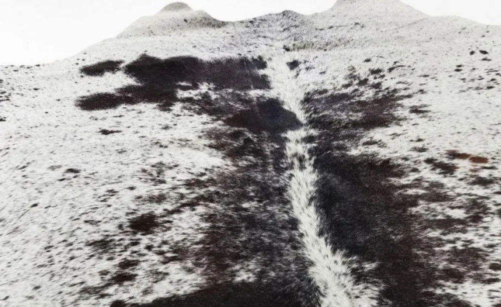 KARE Design Matot*Hide Lehmännahka Matto, Musta-valkoinen 219x242cm