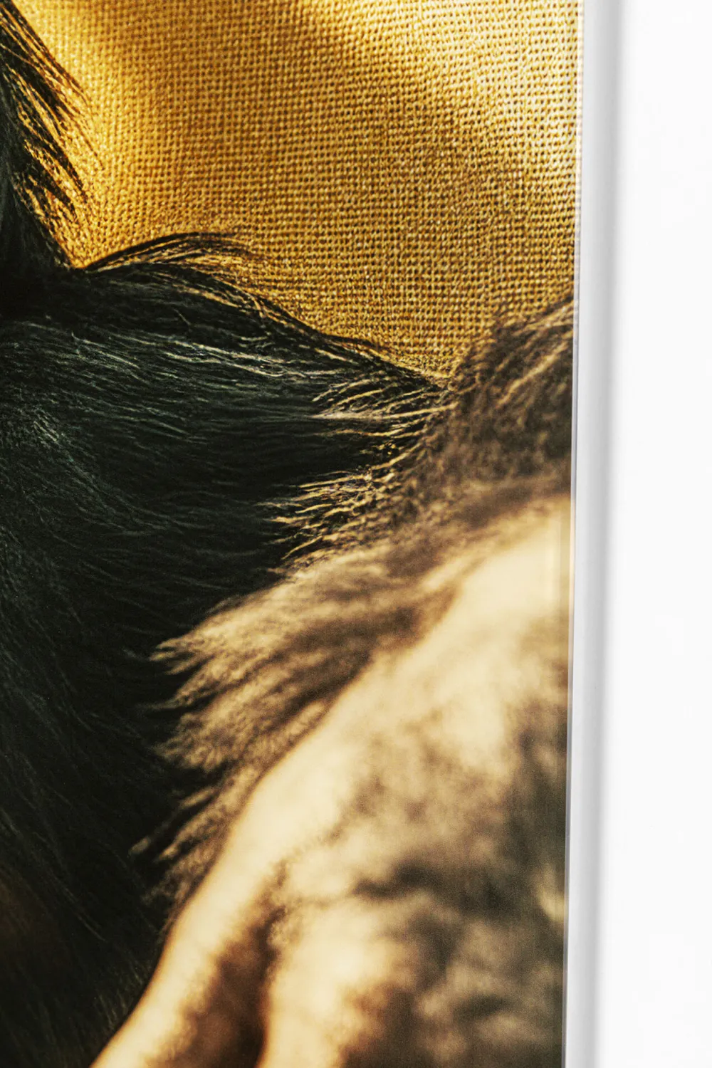 KARE Design Taulut|Olohuone*Holiday Monkey Apina Lasitaulu 80x60cm