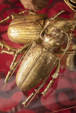 KARE Design Seinäkoristeet*Longicorn Beetle Kovakuoriainen Seinäkoriste, Kulta