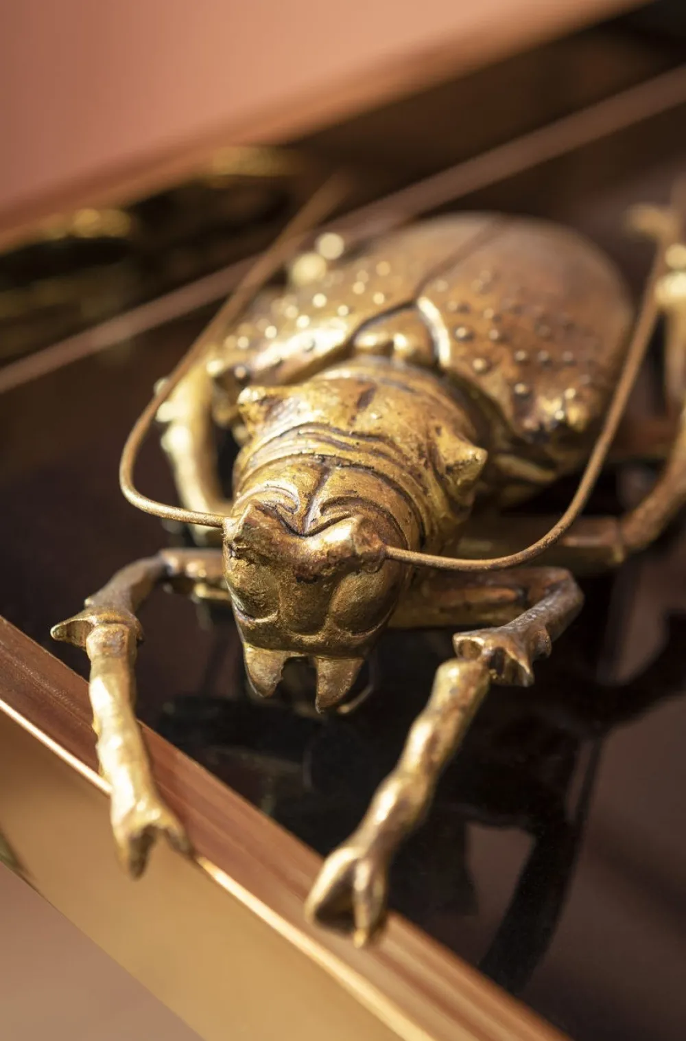 KARE Design Seinäkoristeet*Longicorn Beetle Kovakuoriainen Seinäkoriste, Kulta