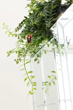 KARE Design Baarit*Luxury Baarikaappi