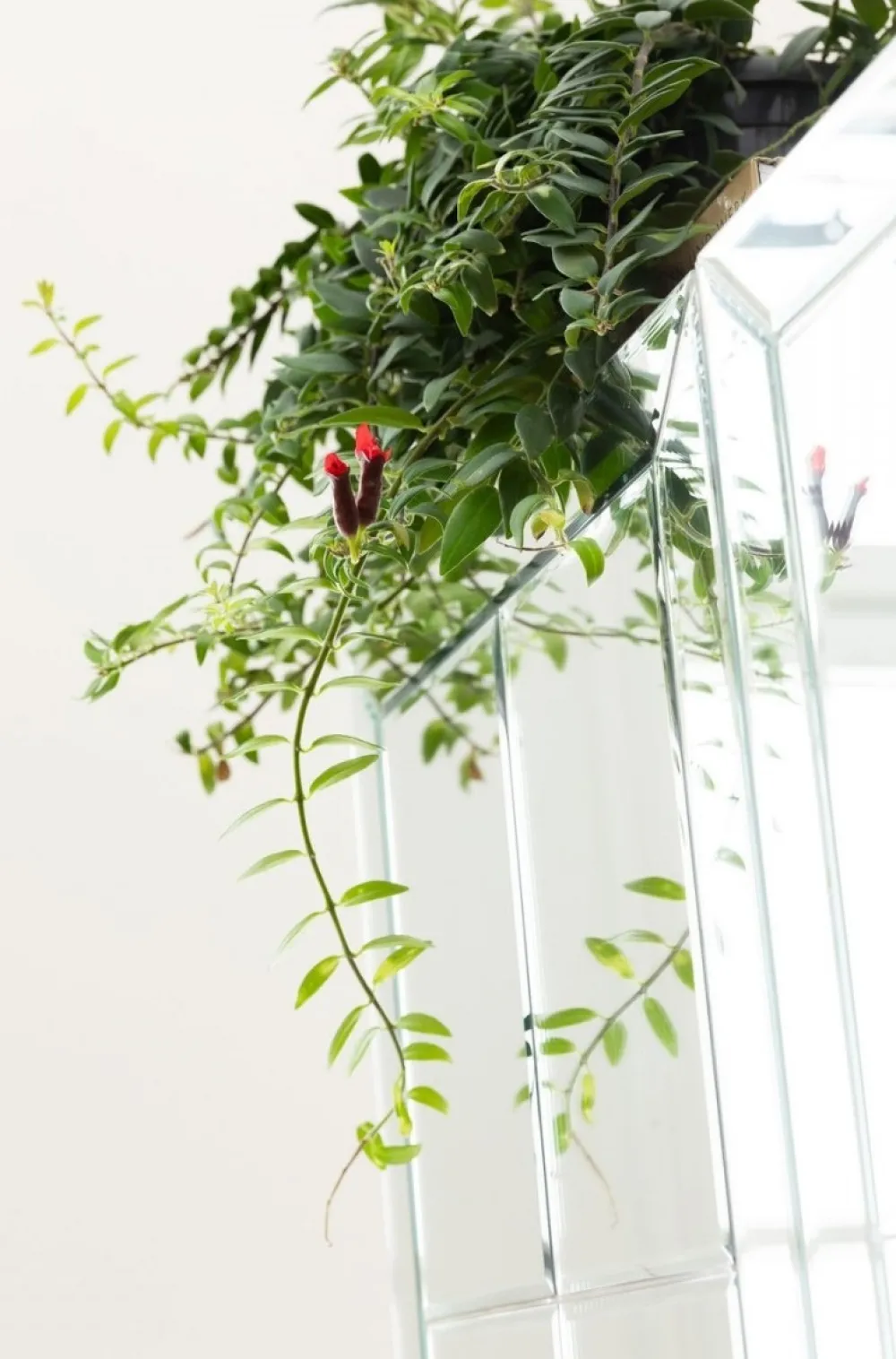 KARE Design Baarit*Luxury Baarikaappi