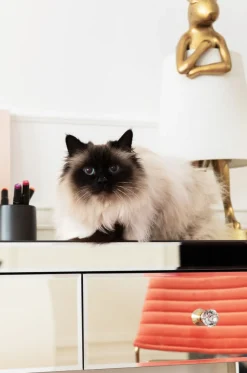 KARE Design Konsolipöydät Ja Sivupöydät*Luxury Pearl Konsolipöytä, Peililasia