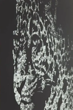 KARE Design Taulut*Mirror Leopard Kehystetty Taulu 80x80cm