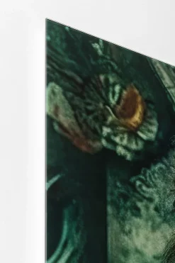 KARE Design Taulut*Mister Lion Leijona Lasitaulu 150x100cm