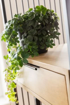 KARE Design Hyllyt*Modena Hylly 125x200cm