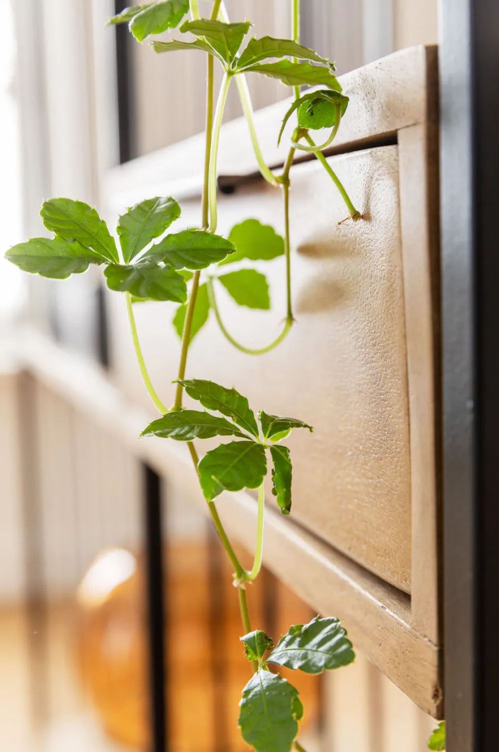 KARE Design Hyllyt*Modena Hylly 125x200cm