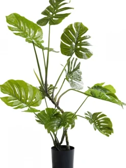 KARE Design Tekokasvit*Monstera Tekokasvi 110cm