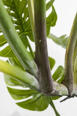 KARE Design Tekokasvit*Monstera Tekokasvi 110cm