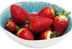 KARE Design Lautaset*Mustique Kulho Ø17