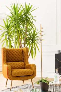 KARE Design Nojatuolit*Nonna Nojatuoli