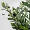 KARE Design Tekokasvit*Olive Tree Tekokasvi 150cm