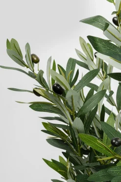 KARE Design Tekokasvit*Olive Tree Tekokasvi 150cm