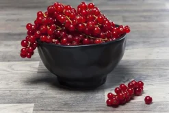 KARE Design Mukit*Organic Black Kulho Ø15cm