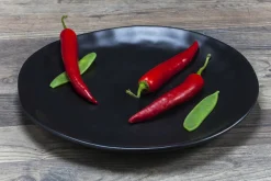 KARE Design Lautaset*Organic Black Lautanen Ø26cm