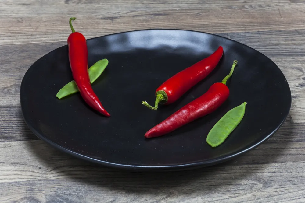 KARE Design Lautaset*Organic Black Lautanen Ø26cm