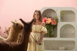 KARE Design Hyllyt*Paco Hylly Valkoinen 95x180cm