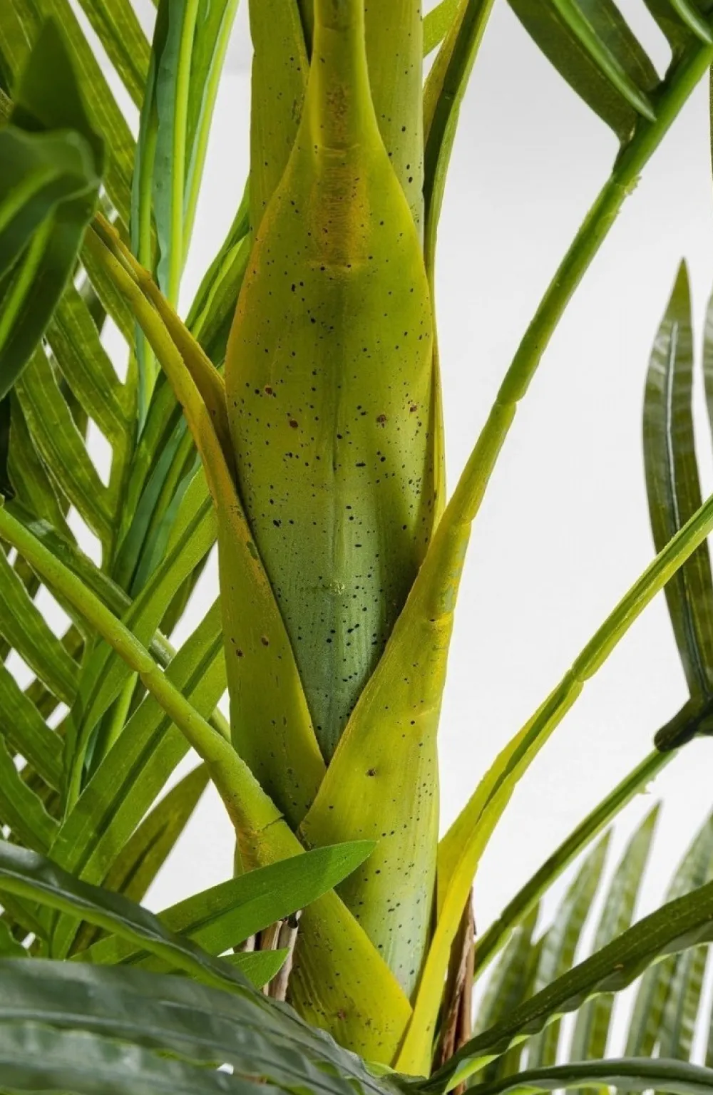 KARE Design Tekokasvit*Palm Tree Tekokasvi 190cm