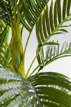 KARE Design Tekokasvit*Palm Tree Tekokasvi 190cm