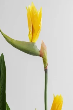 KARE Design Tekokasvit*Paradise Flowers Tekokasvi 190cm