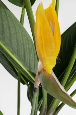 KARE Design Tekokasvit*Paradise Flowers Tekokasvi 190cm