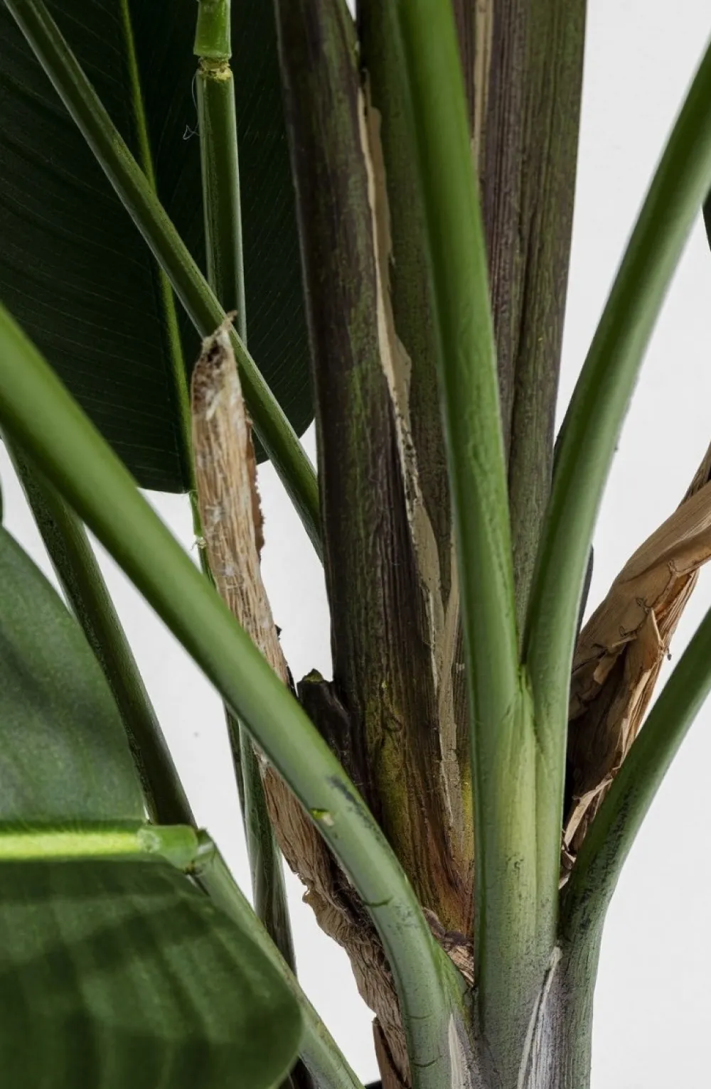 KARE Design Tekokasvit*Paradise Flowers Tekokasvi 190cm