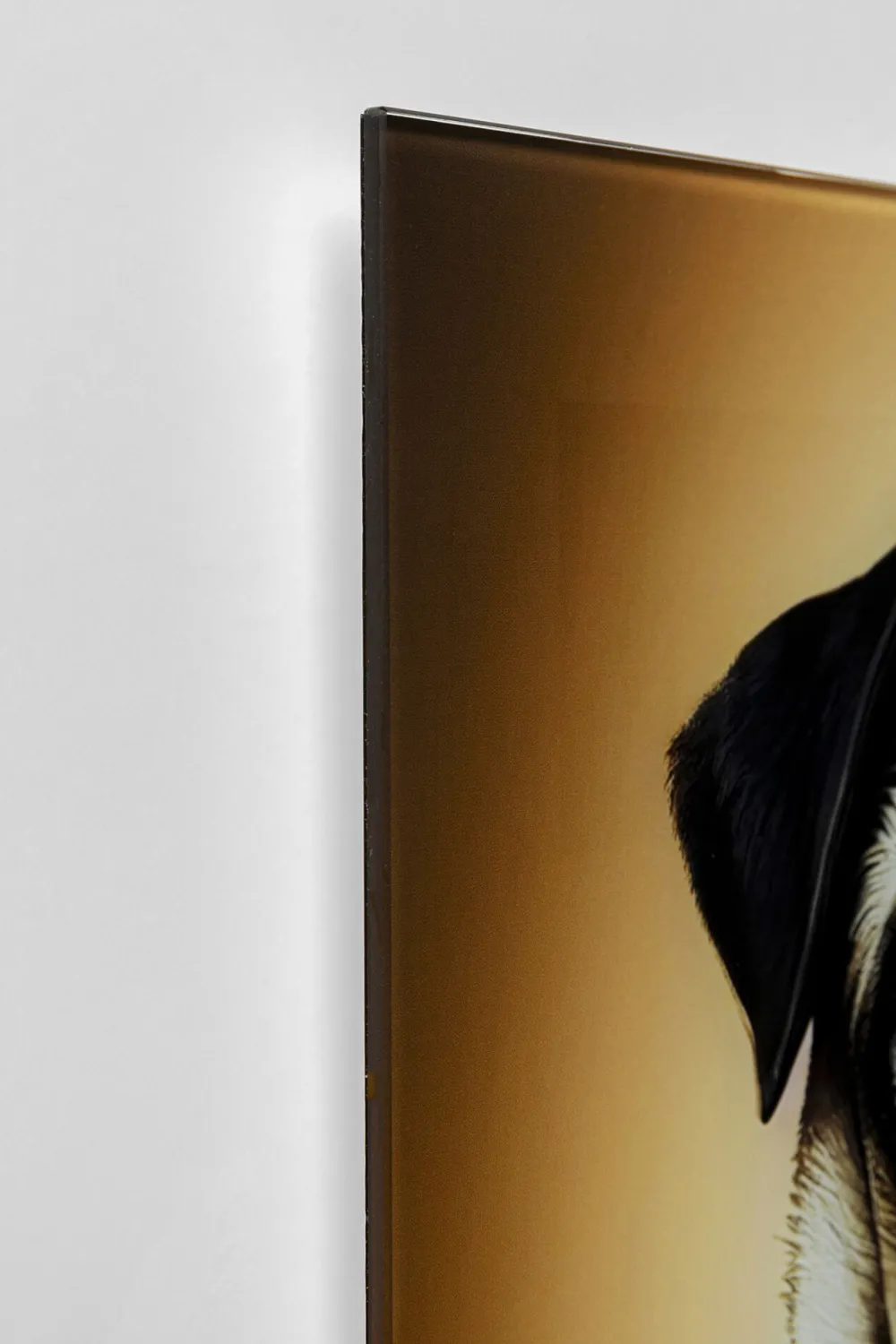 KARE Design Taulut|Olohuone*Prince Pug Koira Lasitaulu 40x60cm