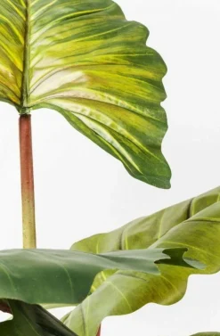 KARE Design Tekokasvit*Rainforest Green Tekokasvi 160cm