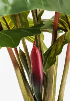 KARE Design Tekokasvit*Rainforest Green Tekokasvi 160cm