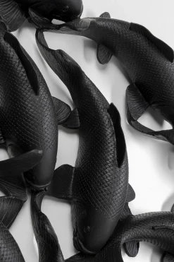 KARE Design Seinäkoristeet*School Of Koi Seinäkoriste - Musta Ø160cm