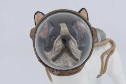 KARE Design Koriste-Esineet*Space Dog Avaruuskoira Koriste-esine 21cm